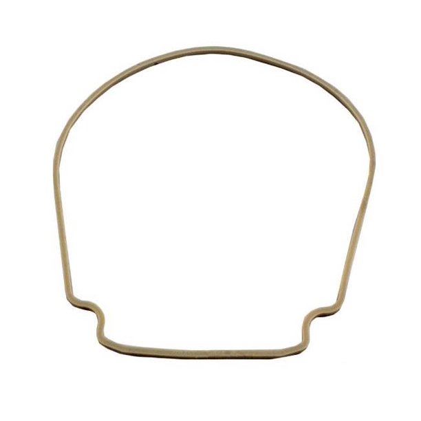 Pentair 357102 WhisperFlo VS Swimming Pool Pump Seal Plate Gasket O