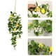 thumbnail image 5 of Primavera y verano flor artificial rama larga colgante de pared de limón de tres puntas ANGGREK  Otros, 5 of 8