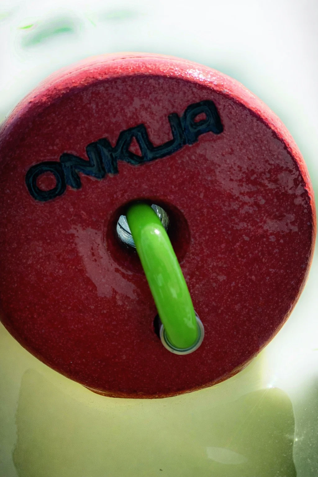 ONKIJA 10ft Tangle-Free Fishing Stringer Green Float & Aluminum Spike ...