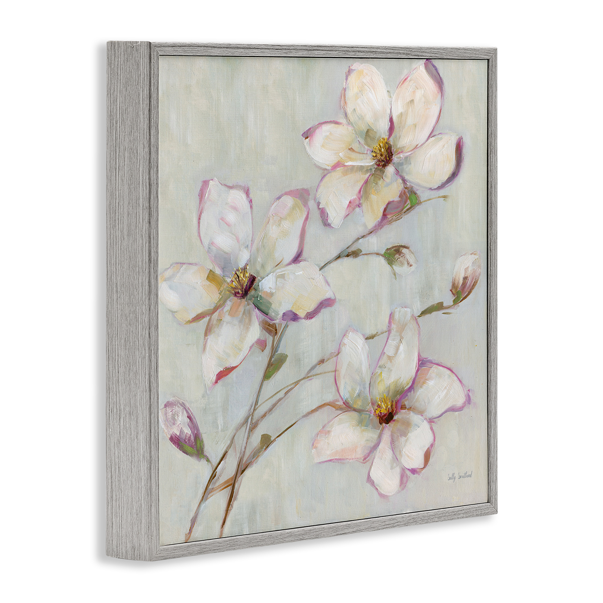 Stupell Industries Apple Blossom Botanicals Botanical & Floral Painting Gray Framed Art Print Wall Art, 24 x 24