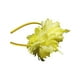 thumbnail image 1 of Qarigey Mujeres boda ceremonia pluma flor diadema ornamento niñas banquete diadema señoras Cosplay cabeza accesorio Decoración Accesorio para el cabello Amarillo Qarigey AP012180-02B, 1 of 6