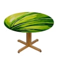 thumbnail image 3 of PIKWEEK Waterproof Resistant Fabric Round Tablecloth Palm Leaves Tropical Jungle Palm Leaves White, 3 of 8