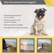 thumbnail image 3 of Gafas modernas para mascotas (negras), gafas de sol para perros, gafas resistentes a los rayos UV, gafas cortavientos para cachorros, correas ajustables y flexibles, adecuadas para perros pequeños y m, 3 of 5