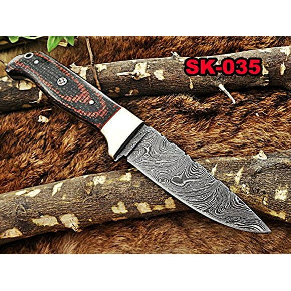 8" Long hand forged Damascus steel full tang blade compact skining Knife, Red Dollar wood with Brass bolster scale, Cow Leather sheath