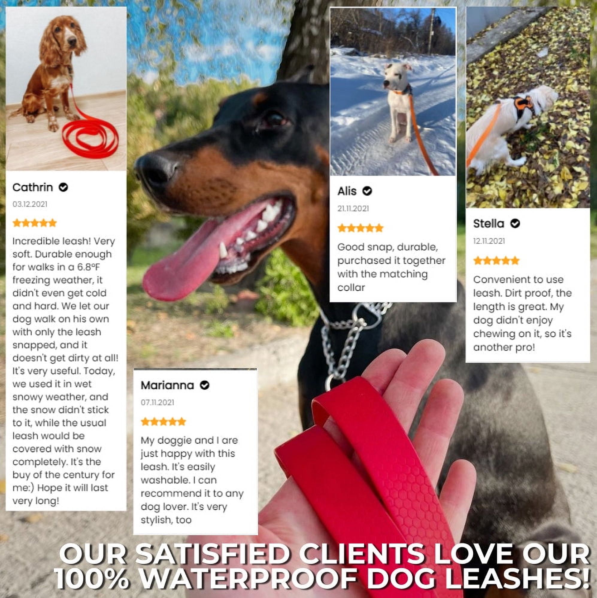 Ultra-Modern Waterproof Dog Leash | Anti-Slip Dog Leash for Large, Small and Medium Dogs | Strong and Durable Leash with Water & Dirt-Resistant | Great for Hiking, Training and Swimming - Orange