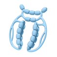 thumbnail image 2 of Almencla Rouleau de Massage Relaxant pour Muscles à 20 Roues pour Sports Intérieurs Bleu, 2 of 8