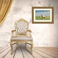 thumbnail image 3 of Jaynes Gallery 14x11 Gold Ornate Wood Framed with Double Matting Museum Art Print Titled - Canada-Alberta-Jasper National Park Male elk in field, 3 of 4