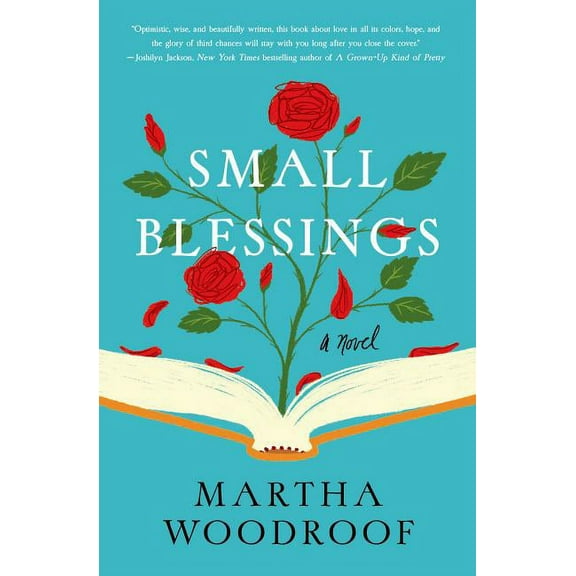 Small Blessings : A Novel