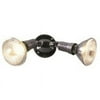 Cooper Lighting 2-Light Outdoor Spotlight