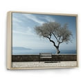 thumbnail image 2 of Designart "Tranquil Coastal Horizon With A Solitary Tree" Coastal Ocean Floater Framed Canvas Prints, 2 of 5