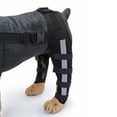 thumbnail image 4 of Rodillera de patas traseras para perros de , vendas s de manga para articución del corvejón Negro Azul Pequeño Zulema  Protector de codo de pierna, 4 of 8