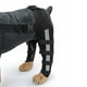 thumbnail image 4 of Rodillera de patas traseras para perros de , vendas s de manga para articución del corvejón Negro Azul Pequeño Zulema  Protector de codo de pierna, 4 of 8