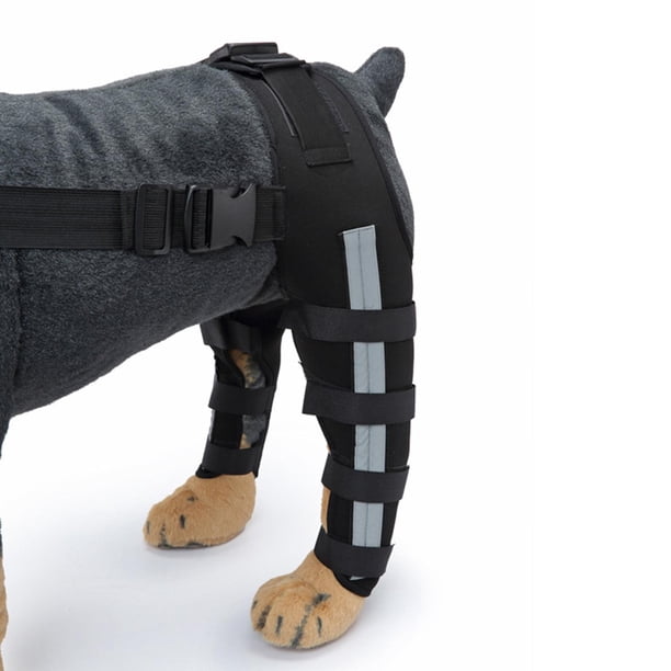 Rodillera de patas traseras para perros de , vendas s de manga para articución del corvejón Negro Azul Medio Colco Protector de ortesis de codo de pierna