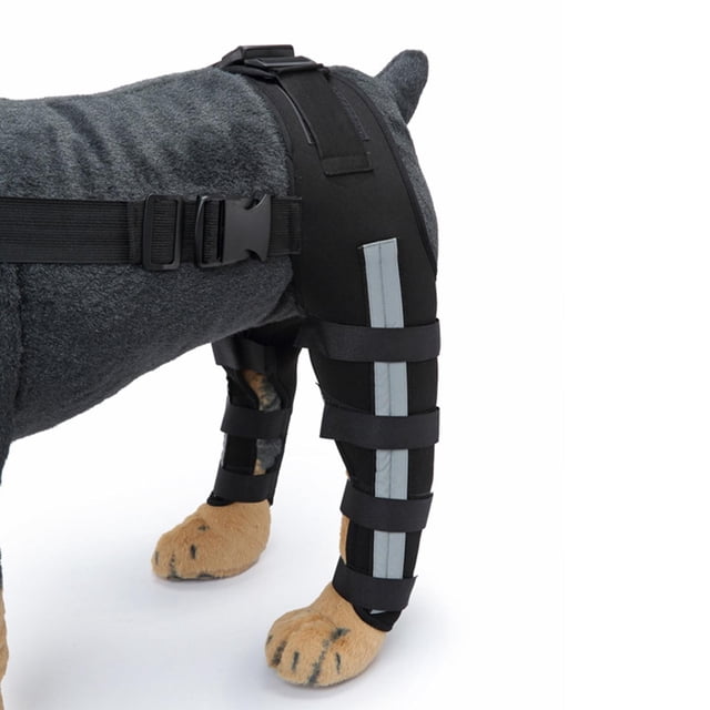 Rodillera de patas traseras para perros de , vendas s de manga para articución del corvejón Negro Azul Pequeño Colco Protector de codo de pierna