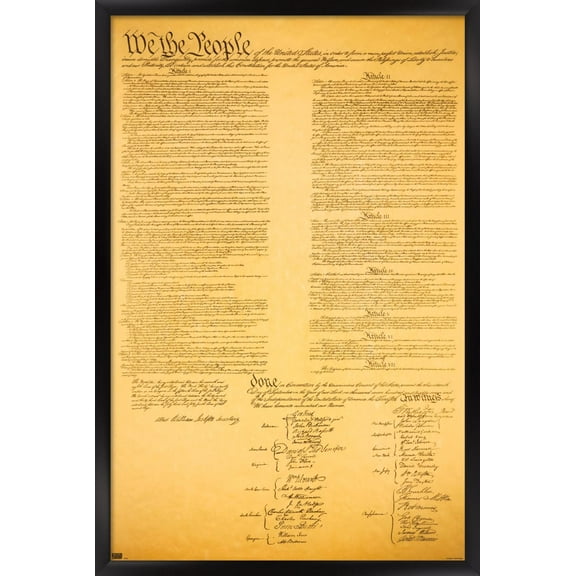 The Constitution Wall Poster, 22.375" x 34", Framed