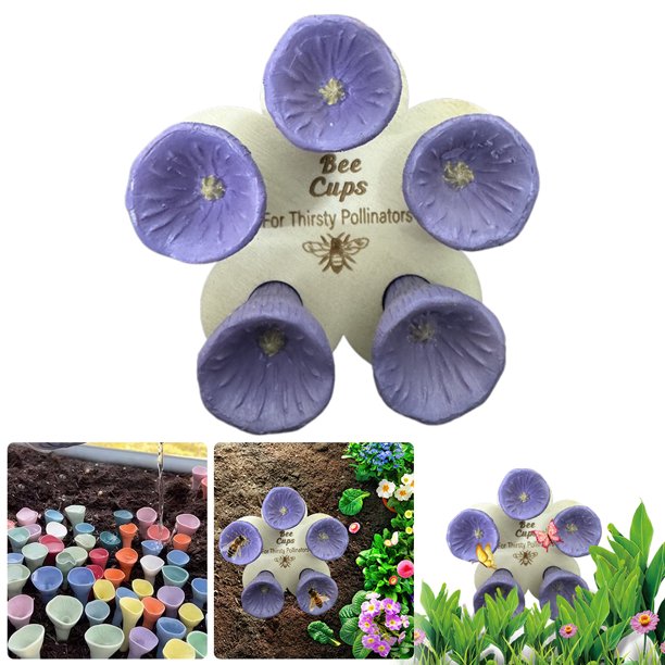 Alimentador para Abejas 5 Uds Hugtrwg Suministros Apicultura Soporte
