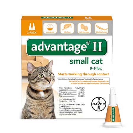 Advantage flea treatment for cats walmart Clearance