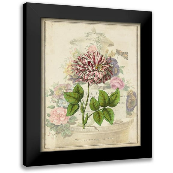 Vision Studio 12x14 Black Modern Framed Museum Art Print Titled - Vintage Rose Bookplate
