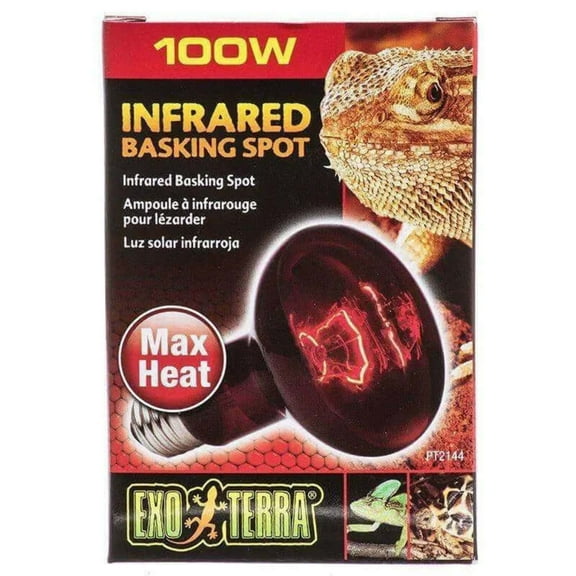 Exo Terra Heat-Glo Infrared Spot Lamp, 100-Watt/120-Volt