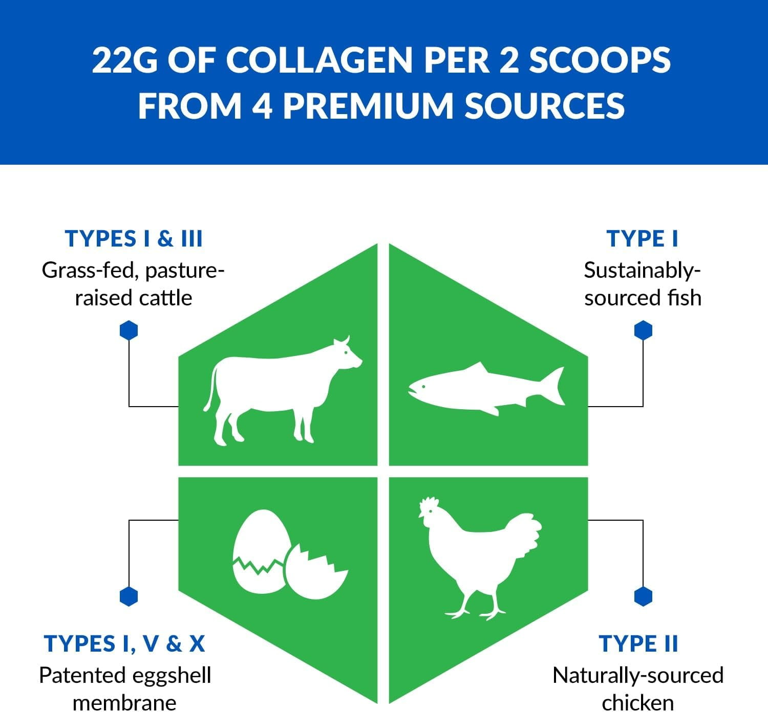 BioTrust Ageless Multi Collagen Peptides Powder – 5 Types (I, II, III, V, X) – Unflavored Collagen Powder for Women & Men – Hydrolyzed Protein – Grass Fed Beef, Fish, Chicken, Eggshell Membrane