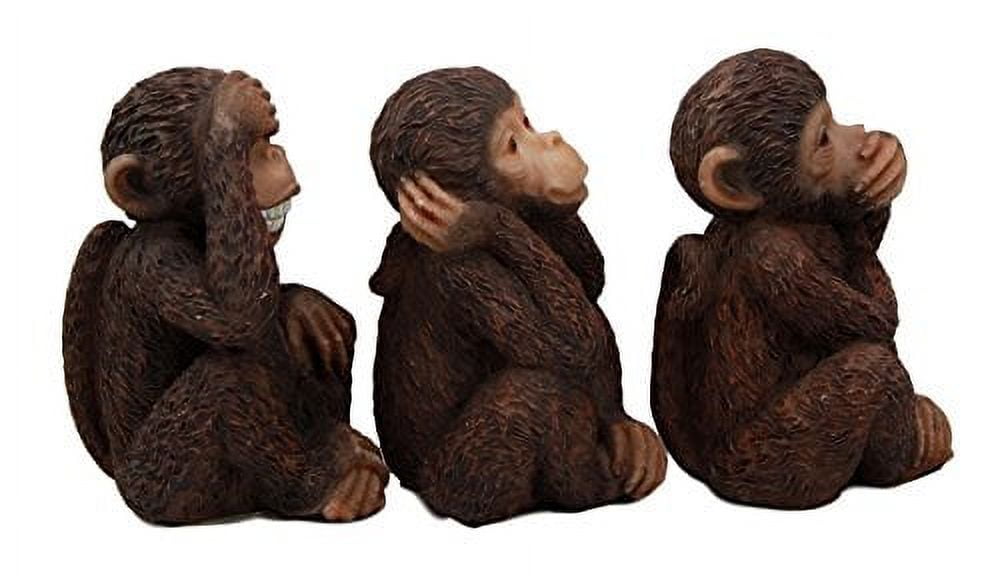 Wise Monkeys See Hear Speak No Evil Ape Chimpanzees