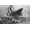Unframed, variant on Art.com Sinking of the Titanic Giclee Print by Willy Stoewer, 18" x 12"