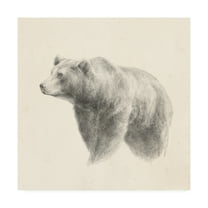 Trademark Fine Art 'Western Bear Study' Canvas Art by Ethan Harper