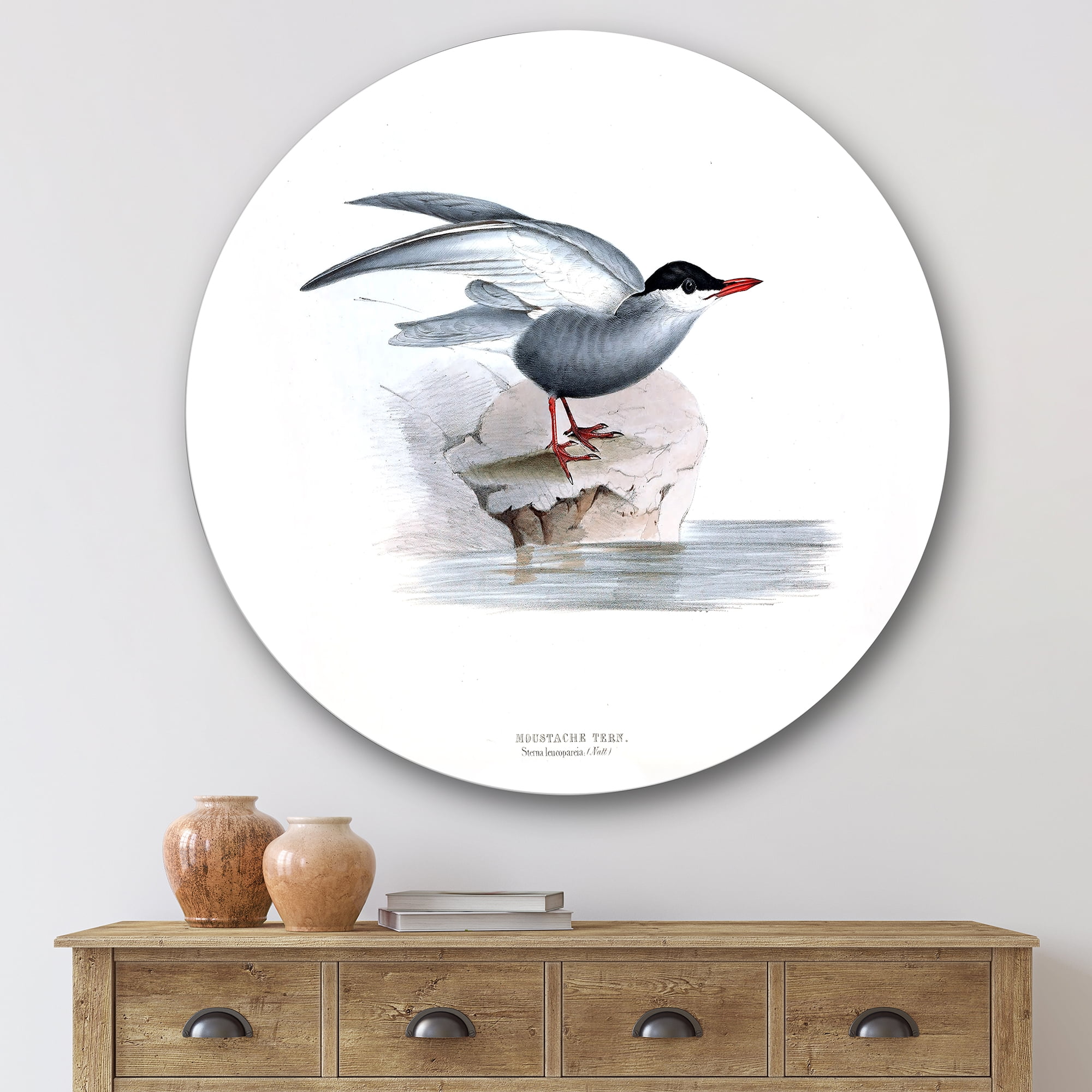 Designart 'Ancient Bird Of Europe I' Traditional Circle Metal Wall Art 36x36 - Disc of 36