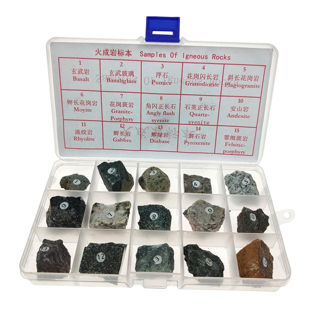 15pcs Igneous Rock Specimen Educational Rock Teaching Aid Supplies Ages 8 Up Walmart Com