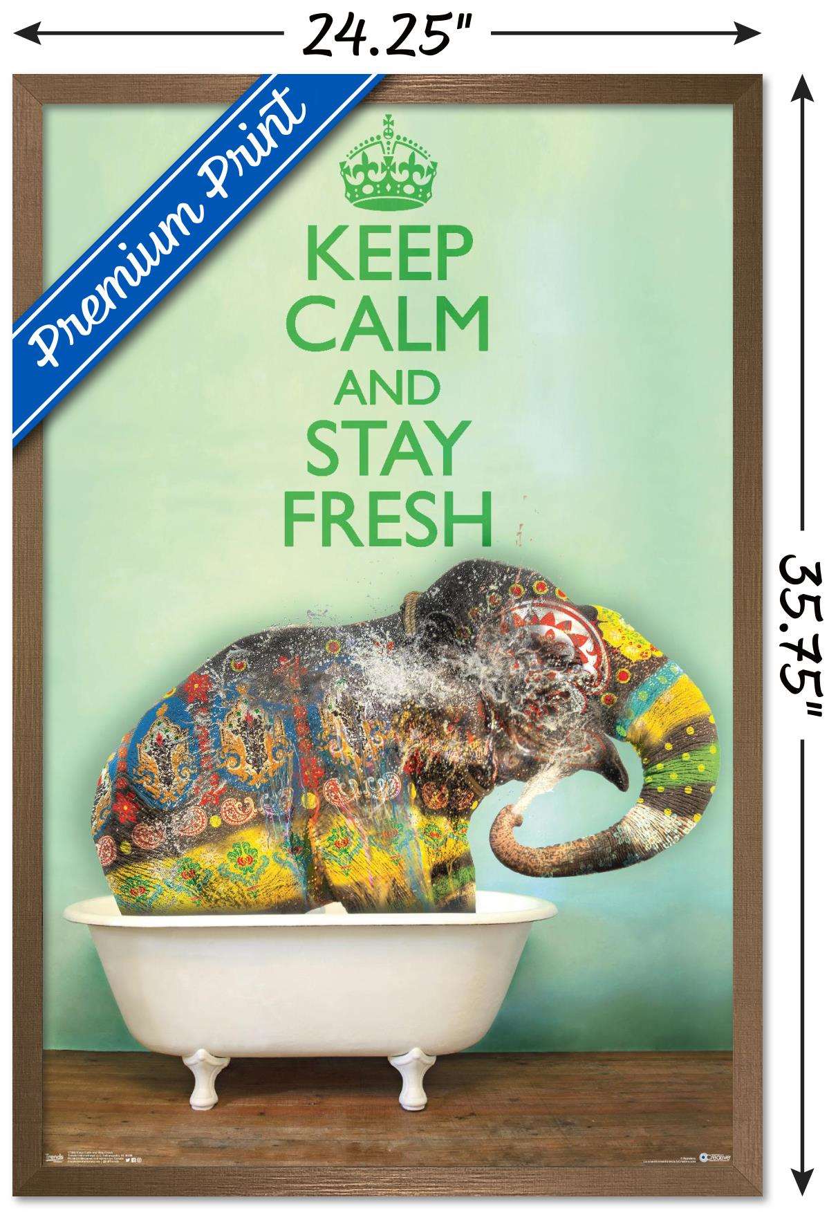 Keep Calm And Stay Fresh Wall Poster, 22.375" x 34", Framed