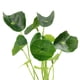 thumbnail image 2 of Adorno de planta de decoración de pecera de acuario de hierba de plástico verde con Base de cerámica, 2 of 2