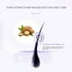 thumbnail image 4 of Aceite esencial Mainstay 16 ml Cápsula de aceite para el cuidado del cabello marroquí Sin enjuague Anic (Compre 2 y ahorre un 10 %), 4 of 9