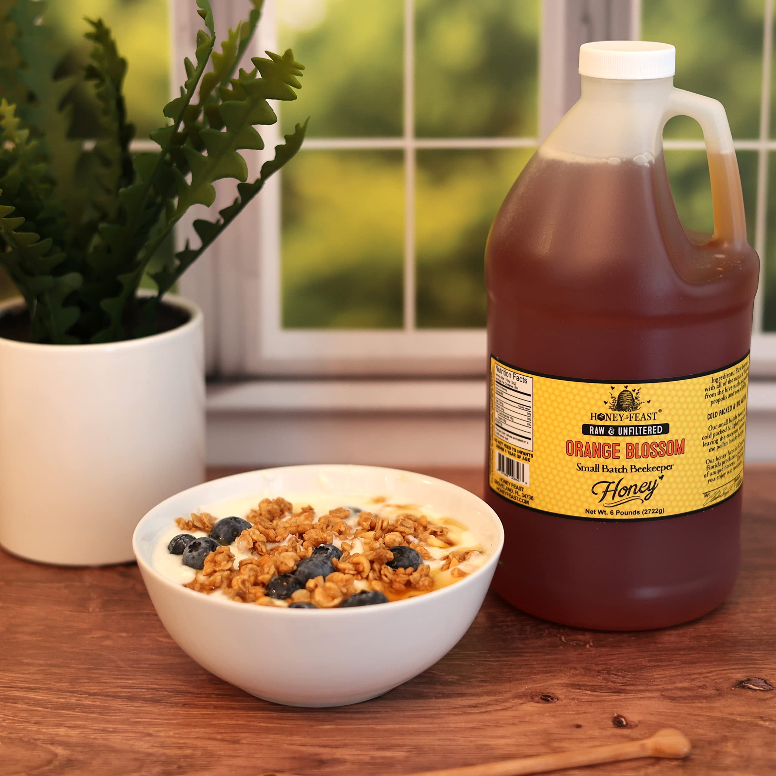 HONEY FEAST Raw Orange Blossom Honey - 6 Pounds (Pack of 4), All Natural, Unfiltered, Unheated, from Oranges, Perfect for Sweetening & Baking