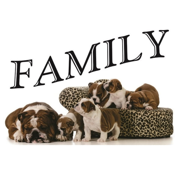 Decal Wall Sticker : Family Lettering Text Quote 8x20 Inches