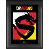 Shanghai Dragons Framed 5" x 7" Overwatch League No Controller Collage