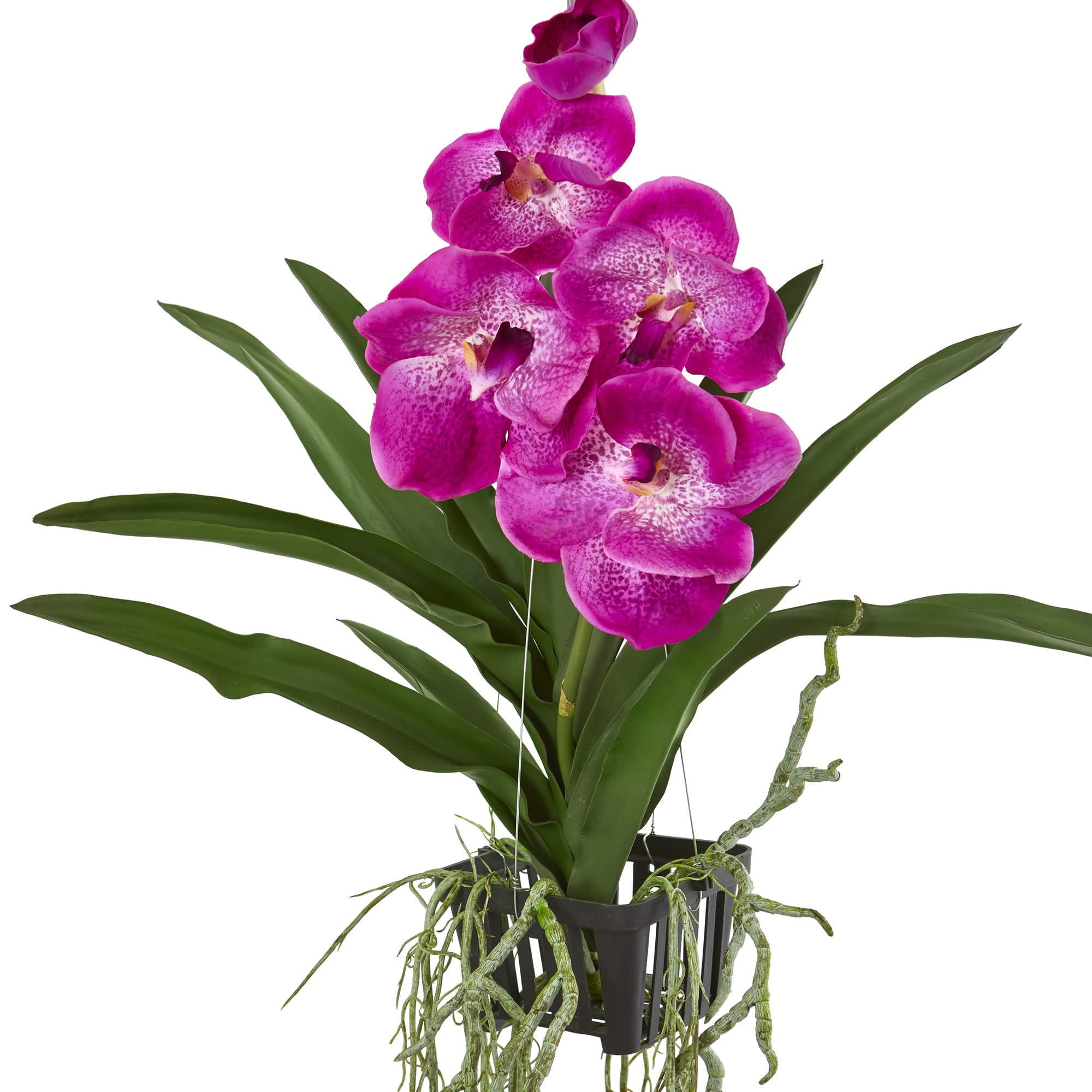 garden window Orchid Vanda 6" Plastic Mesh Basket Pot Hanging