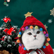 thumbnail image 4 of Disfraz de gato de Navidad Sombrero de Papá Noel con bufanda Gatito Traje de Navidad Ropa Mascota Conjunto de Papá Noel para gatito, cachorro MFZFUKR CPB-DE-LYY1949-5, 4 of 5