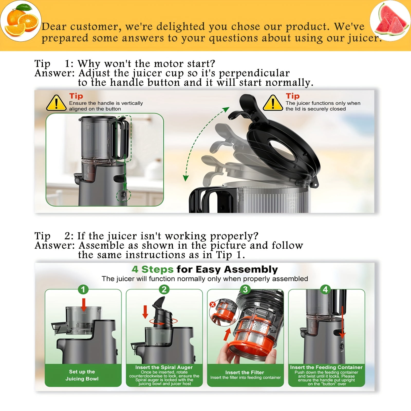 Fanruina Cold Press Juicer Masticating Juicer with Wide Feed Chute 350W Slow Juicer Ideal for Whole Fruits And Vegetables High Juice Yield