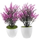 thumbnail image 1 of 2 bonsáis artificiales en maceta, simulación realista, decoración de bonsái, planta falsa en maceta, 1 of 6
