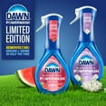 thumbnail image 3 of Dawn Powerwash Spray, Dish Soap, Dishwashing Liquid, Summer Watermelon, 1 Starter Kit, 16 Fl Oz (Pack of 2), 3 of 5