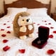 thumbnail image 3 of Lindo erizo blanco de peluche | Suave peluche para dormir | Muñeco reconfortante y reconfortante para niños y adultos | 30 cm, ideal como regalo para abrazar, 3 of 5