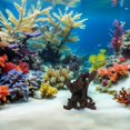 thumbnail image 1 of Hytrove De Acuario Con Artificial Hueco Para Refugio De Peces Y Natural Multicolor, 1 of 8