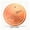 B, variant on Bird Bath Purification Disk Engraved Bird Pattern 99.9% Pure Copper Chemical-Free Algae Slime Control