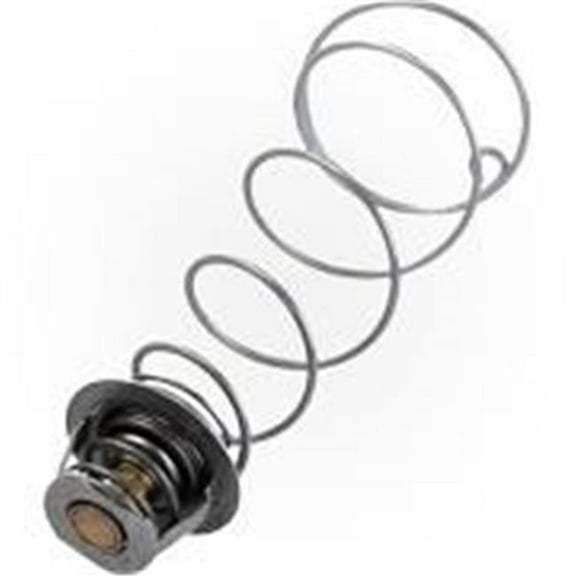 Pentair Thermal Regulator Kit (ASME) for Max-E-Therm/MasterTemp ASME 460924