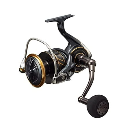 Daiwa Spinning Reel 22 Igujisuto Lt4000 (2022 Model For Sale DAIWA