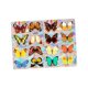thumbnail image 5 of Rainbow Maker Window Cling, Película para ventanas, Vinilo para ventanas, Etiqueta engomada de vidrio, Calcomanía de ventana de mariposa para cocina Estilo B, 5 of 8