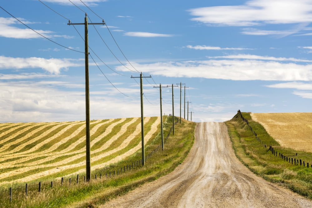Gravel road climbing a hill with wooden electrical poles and a brown cut field on one side and a golden grain field on the other with blue sky and clouds Alberta Canada Canvas Art - Michael Interisano