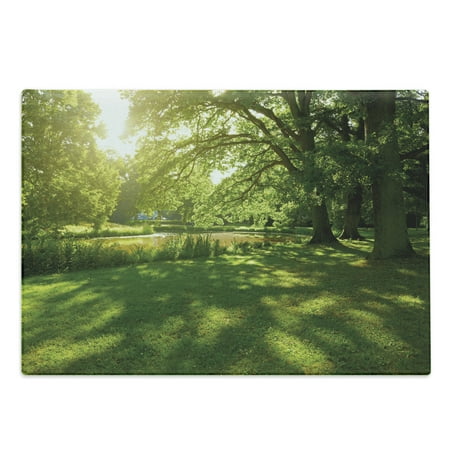 

Green Cutting Board Summer Park in Hamburg Germany Trees Sunlight Forest Nature Theme Scenic Outdoors Picture Decorative Tempered Glass Cutting and Serving Board Large Size Green by Ambesonne