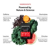 Pure Patch® Energy Patch – Botanical-Inspired Topical Patch with Caffeine, Amino Acids, and Electrolyte Blend – Non-Ingestible Format – 30 Patches