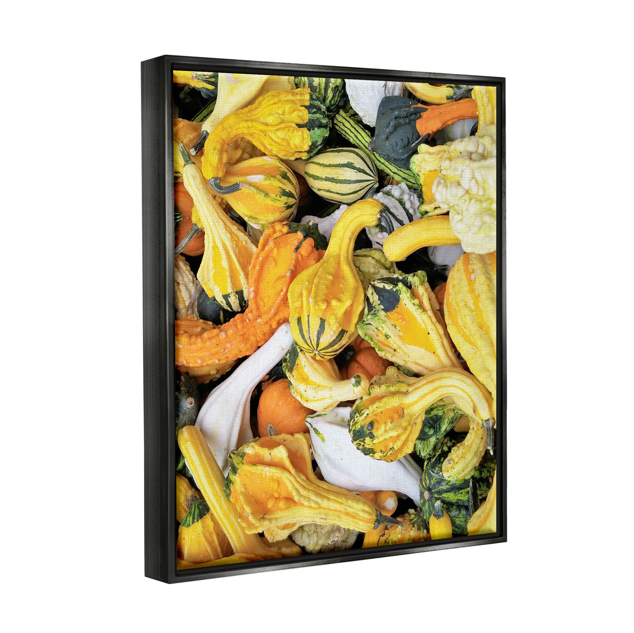 Stupell Industries Mixed Autumn Gourd Arrangement Photograph Jet Black Floating Framed Canvas Print Wall Art, Design by Lil' Rue